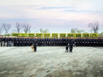 天博体育官方平台(中国)官网入口